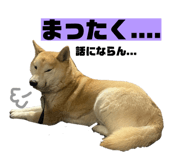 841970629