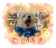 841971172