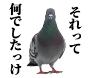 841980506