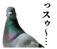 841980510