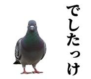 841980511