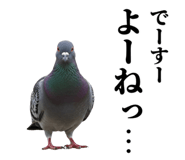 841980512