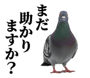 841980518