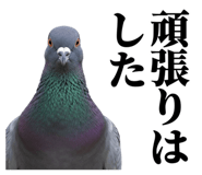 841980526