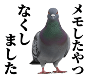 841980528