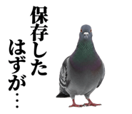 841980537