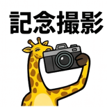 841985719