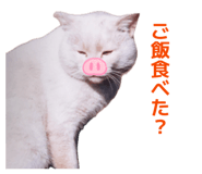 841987111