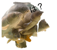 841987178