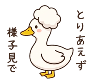 841987884