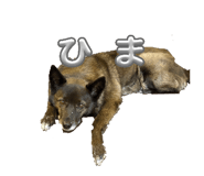 841988737