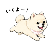 841988836