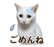 841989229