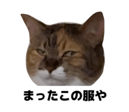 841989281