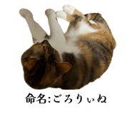 841989283