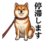 841990224