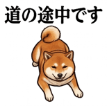 841990228