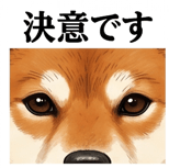 841990232