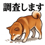 841990242