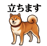 841990247