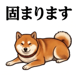 841990248
