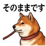 841990249