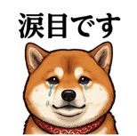 841990251