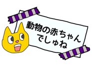 841990270