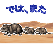 841990837