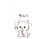 841991417