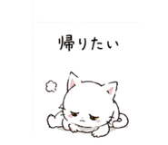841991425