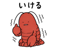 841991556