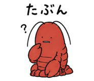 841991557