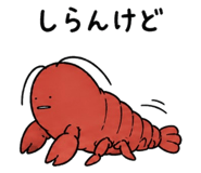 841991558