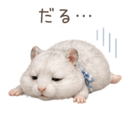 841992291