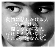 841993328