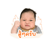 841993532