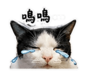 841997909