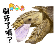 841998130