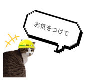 841998794