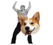 841999497