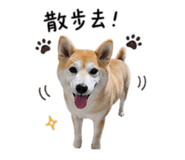 841999980