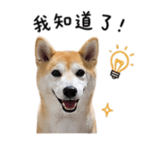 841999986