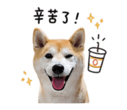 841999990