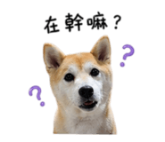 841999994
