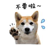 841999998