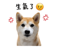 841999999