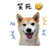 842000000