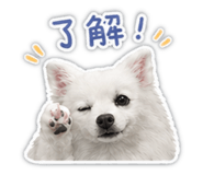 842000087