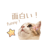 842000603